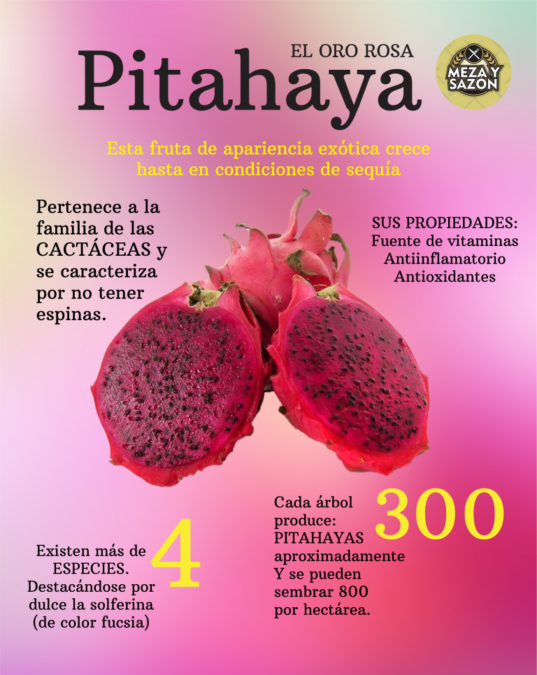 Valor Nutricional De La Pitahaya