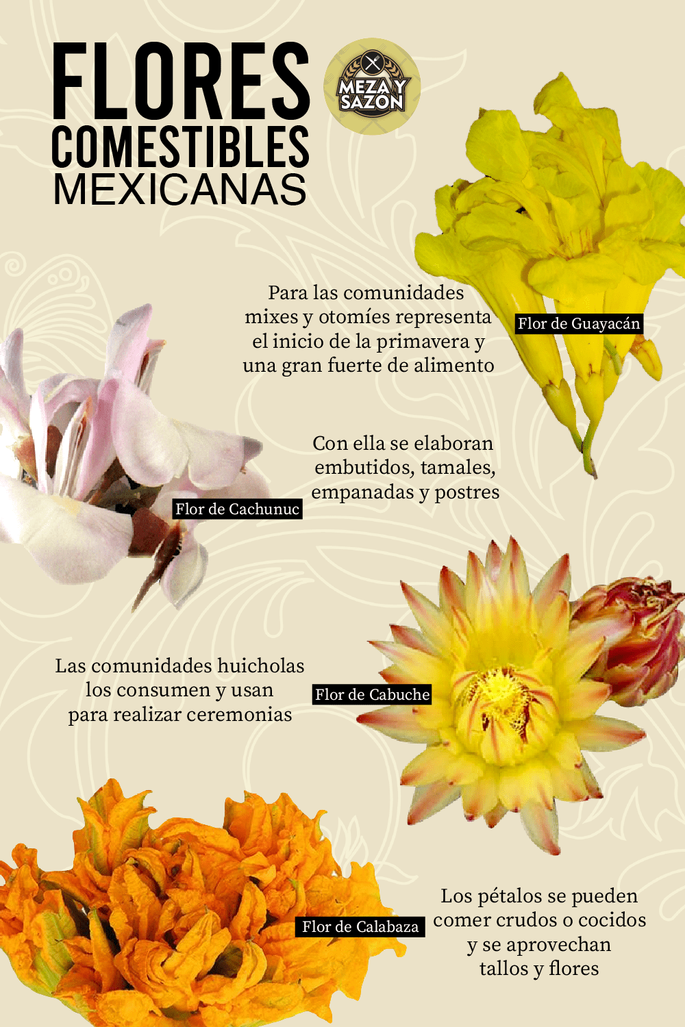 Flores comestibles mexicanas